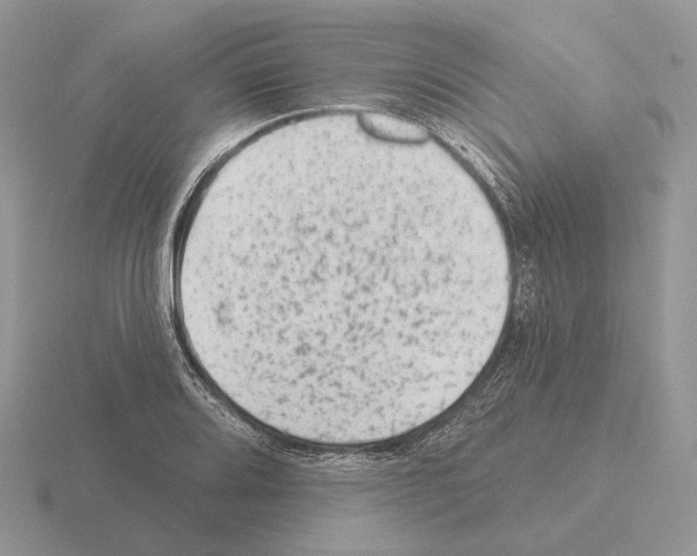 X0000115381080200912151434