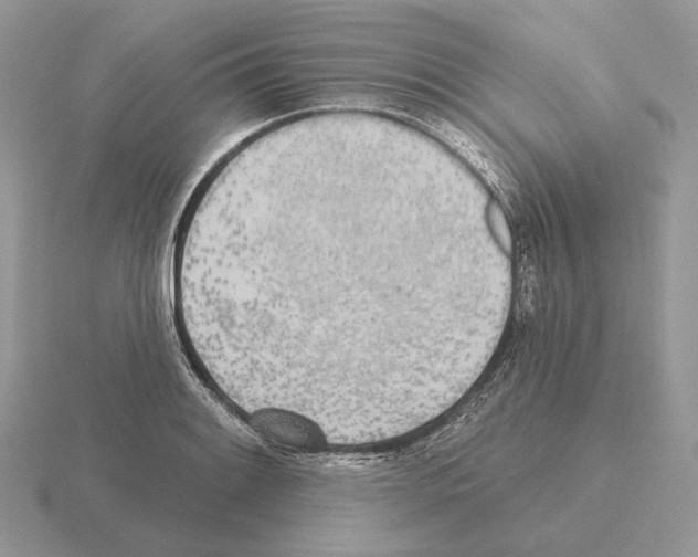 X0000115381084200912151434