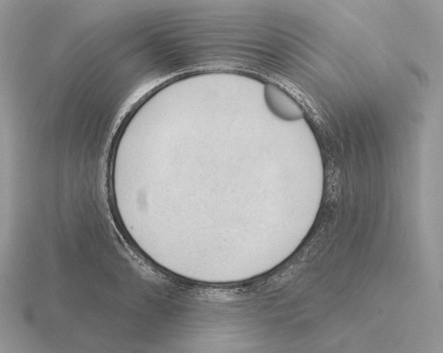 X0000115381086200912151434