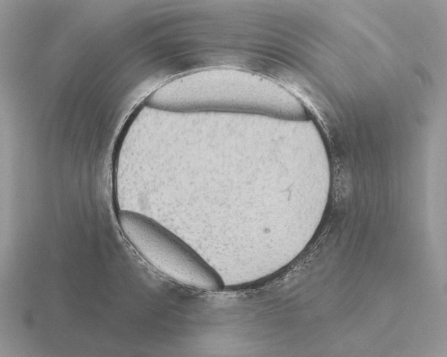 X0000115381088200912151434