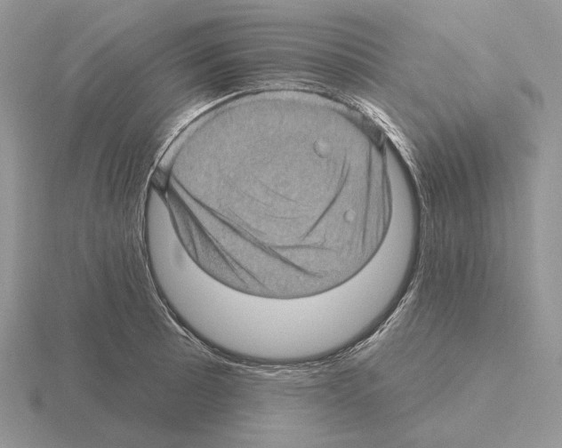 X0000115381089200912151434