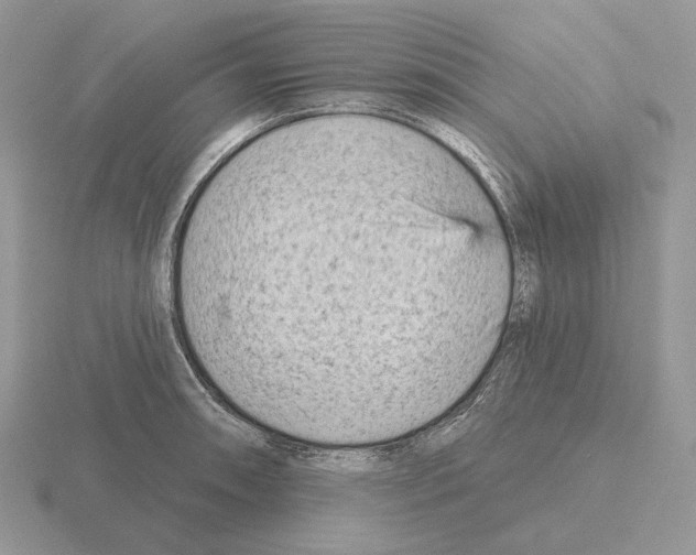 X0000115381090200912151434