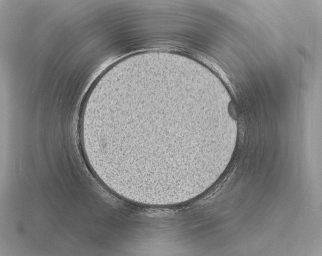 X0000115381091200912151434