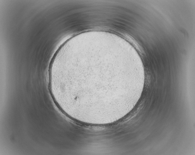 X0000115381095200912151434