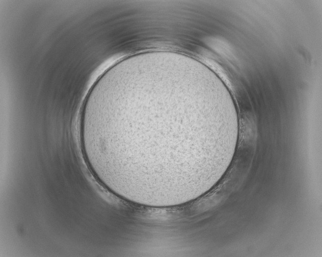 X0000115381098200912151434