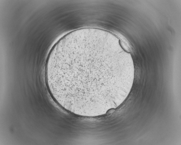 X0000115381100200912151434