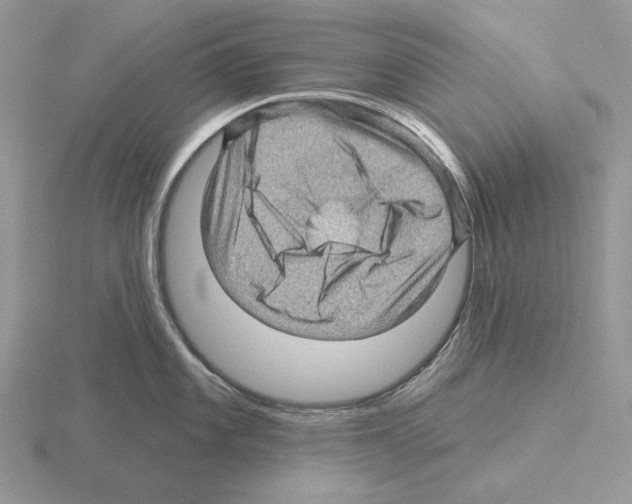 X0000115381101200912151434