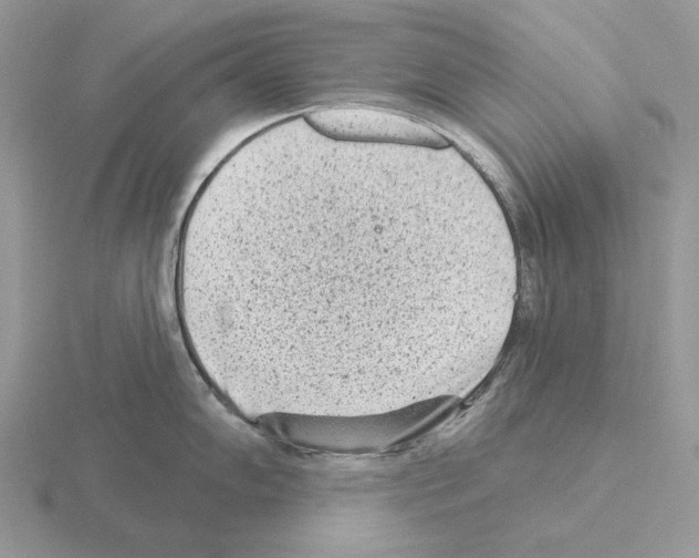 X0000115381102200912151434