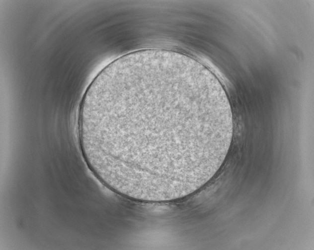 X0000115381103200912151434