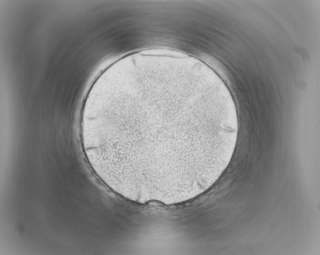 X0000115381104200912151434