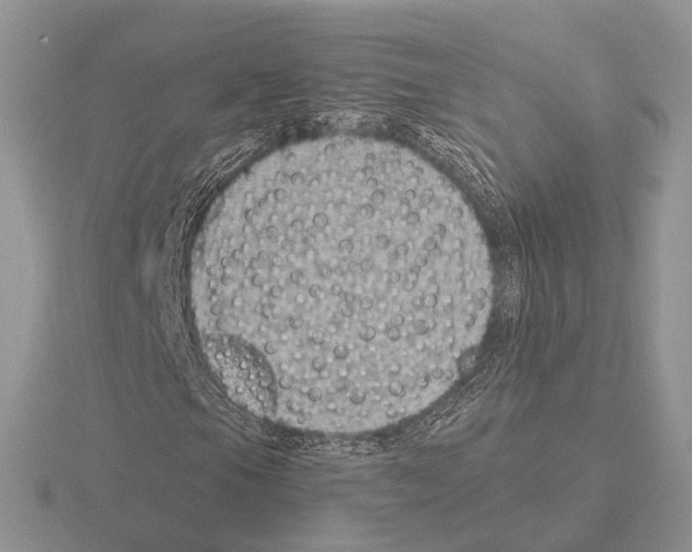 X0000115381105200912151433