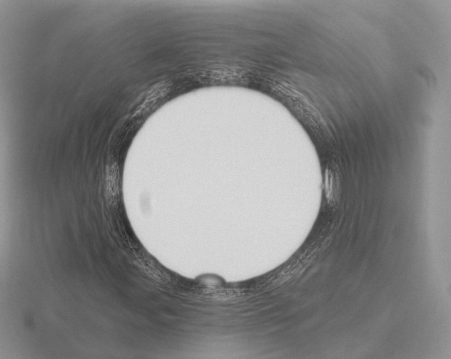 X0000115381107200912151433