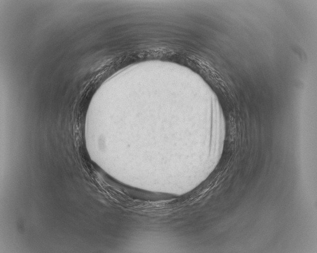 X0000115381109200912151433