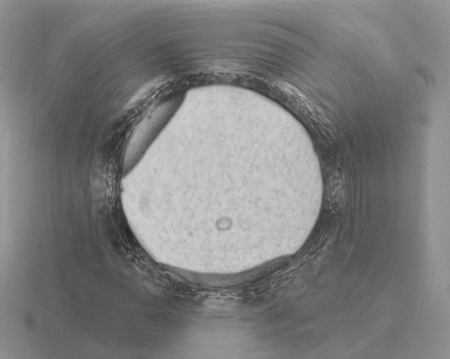 X0000115381110200912151433