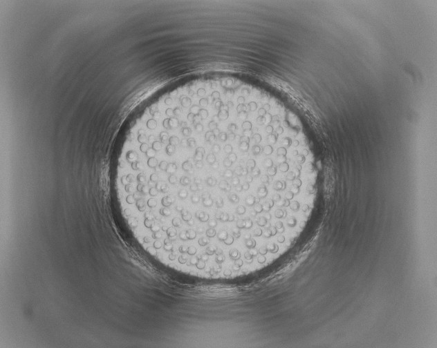 X0000115381113200912151433