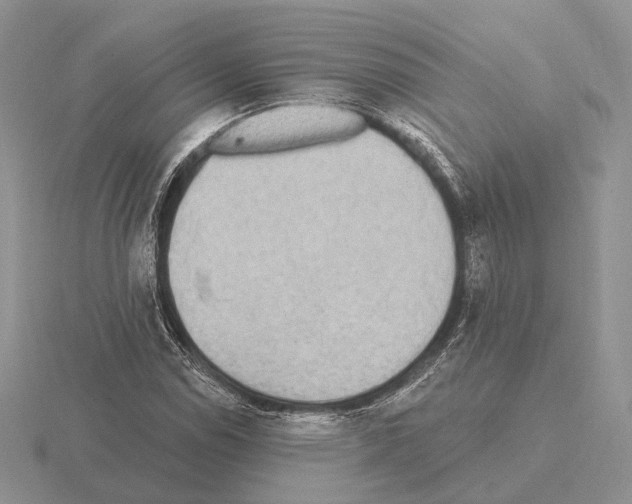 X0000115381114200912151433