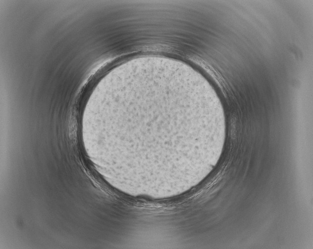 X0000115381115200912151433