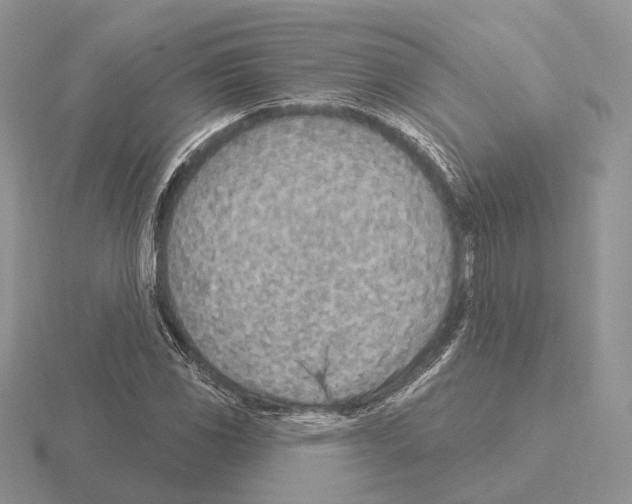 X0000115381117200912151433