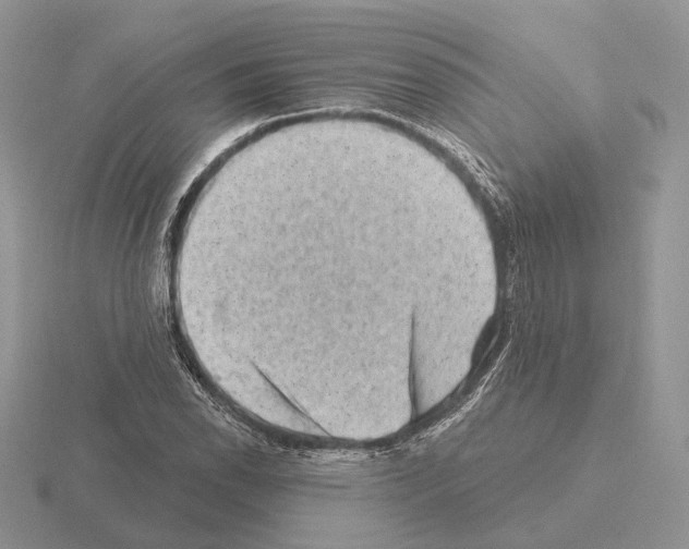 X0000115381118200912151433