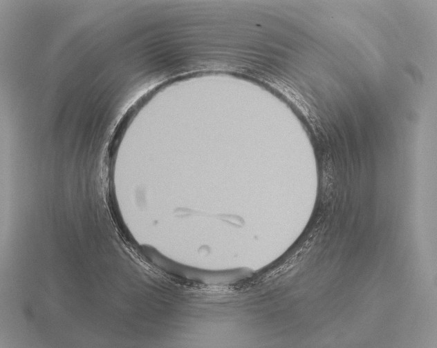 X0000115381119200912151433