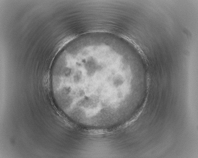 X0000115381121200912151433