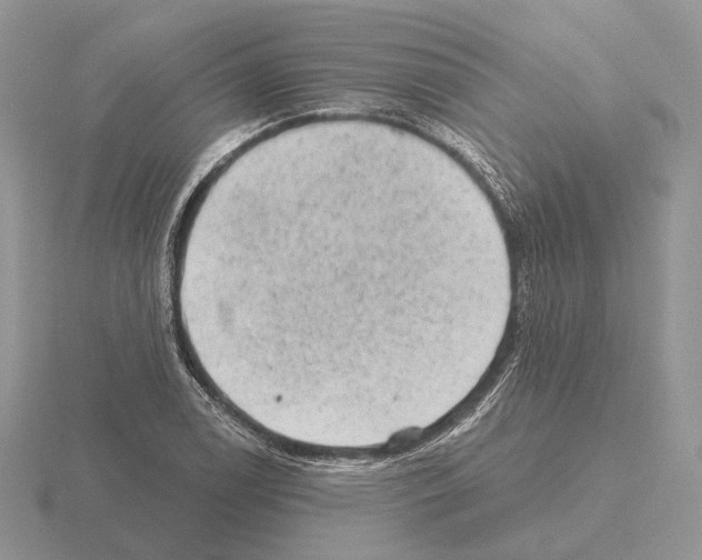 X0000115381122200912151433