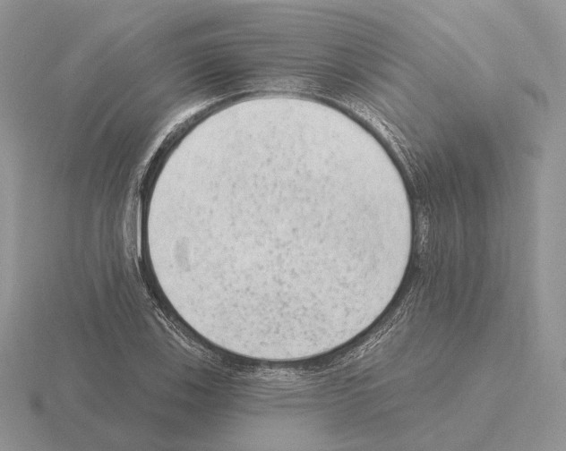 X0000115381123200912151433