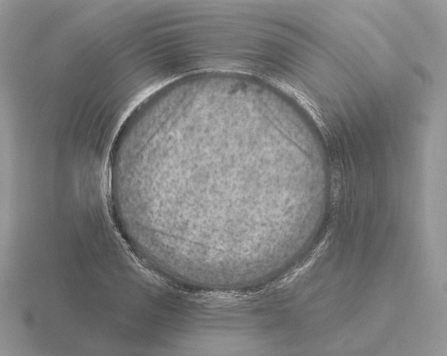 X0000115381125200912151433