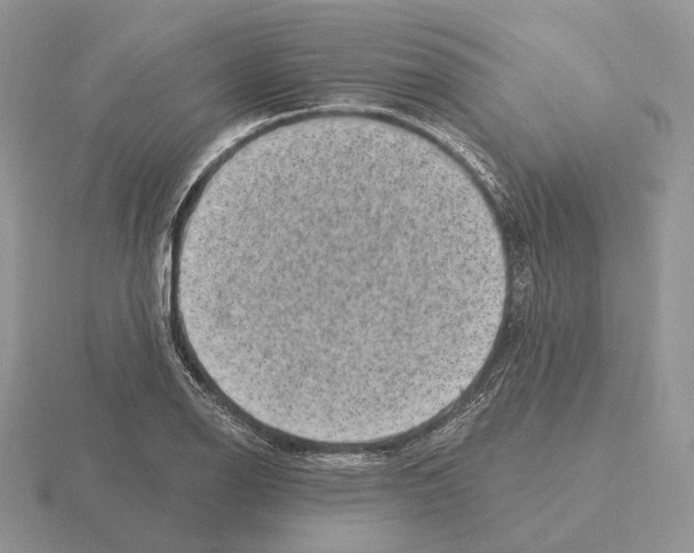 X0000115381126200912151433