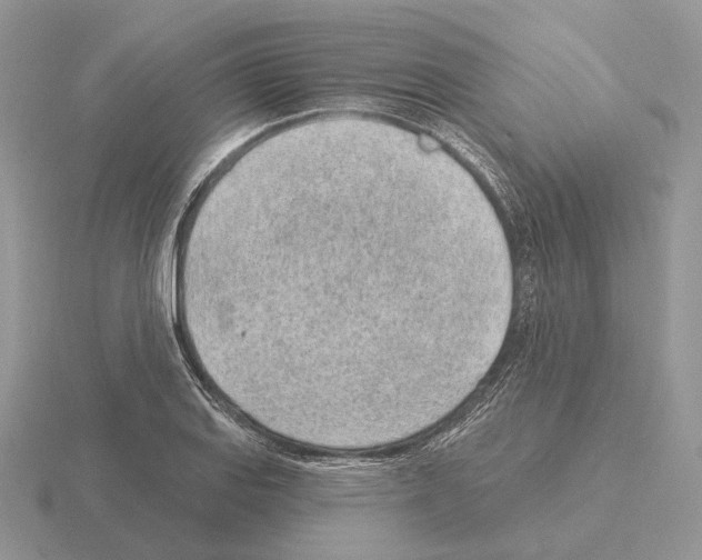 X0000115381127200912151433