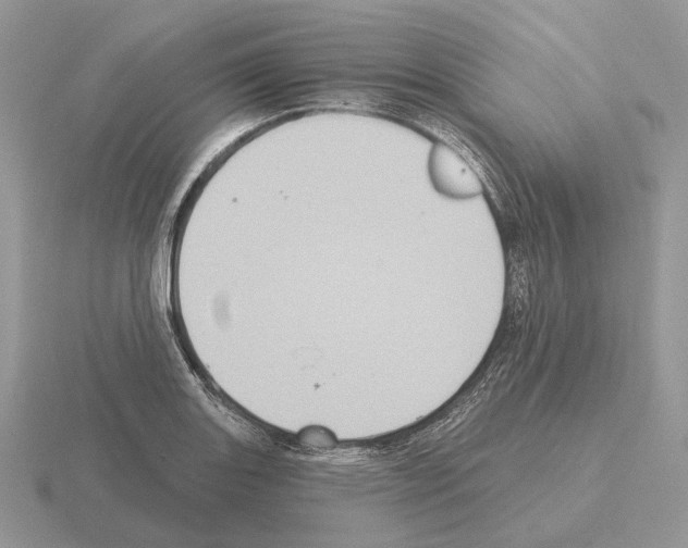 X0000115381131200912151434