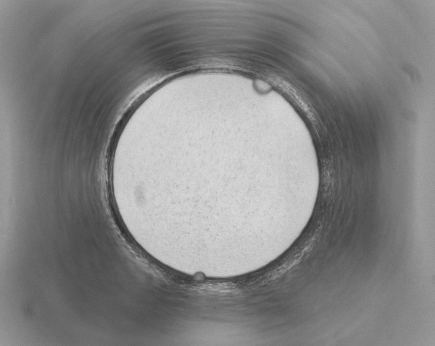 X0000115381133200912151434