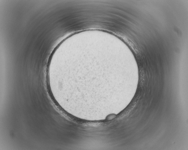 X0000115381134200912151434