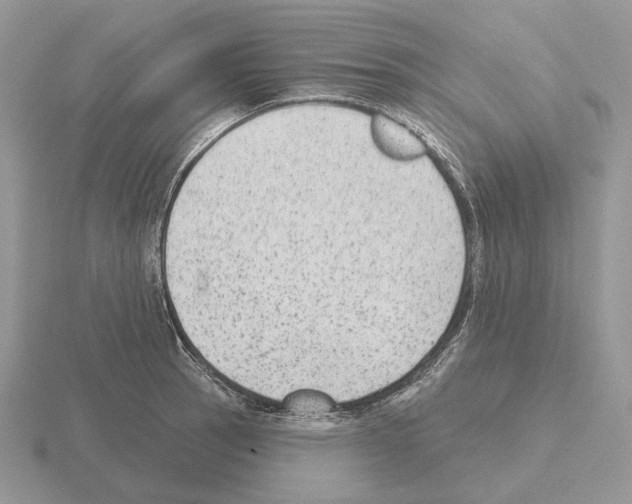 X0000115381137200912151434