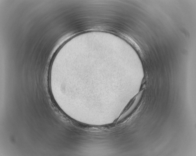 X0000115381138200912151434