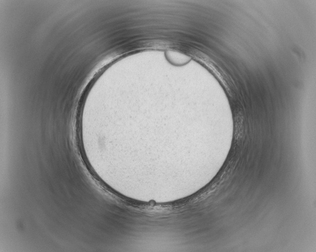 X0000115381139200912151434