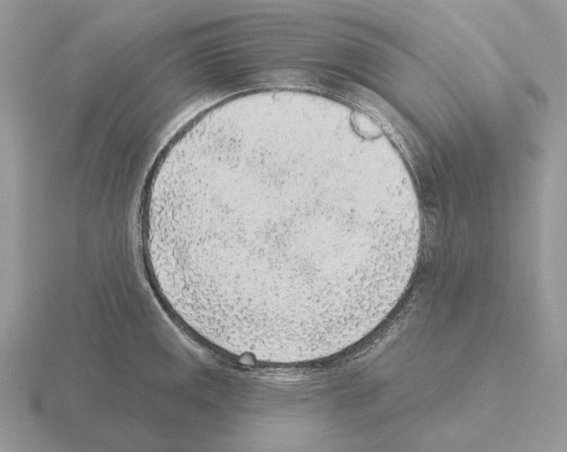 X0000115381141200912151434