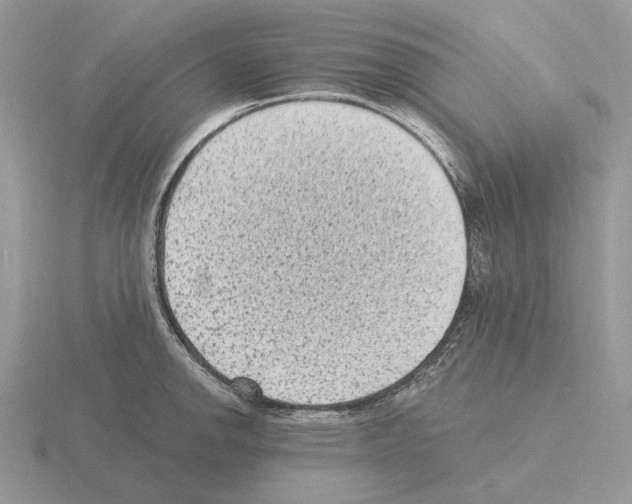 X0000115381142200912151434