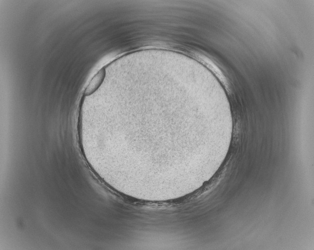 X0000115381146200912151434