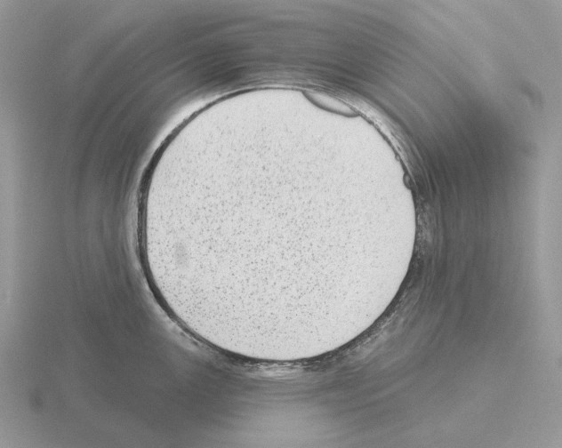 X0000115381147200912151434