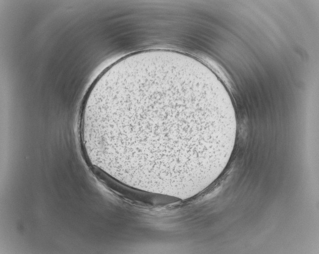 X0000115381149200912151434