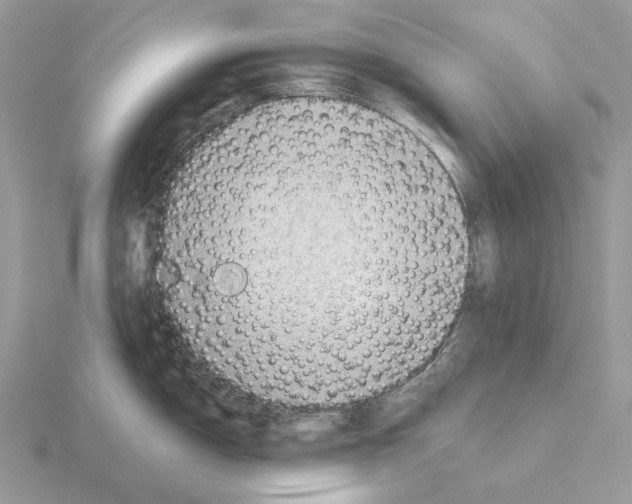 X0000115381150200912151434