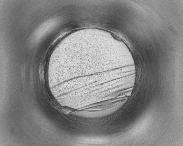 X0000115381151200912151434