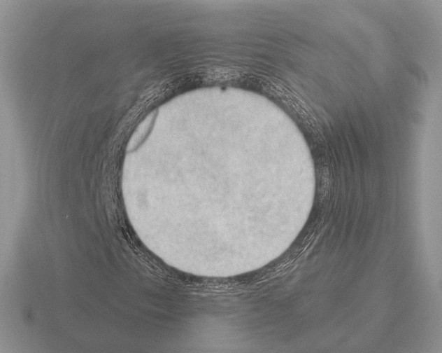 X0000115381153200912151433