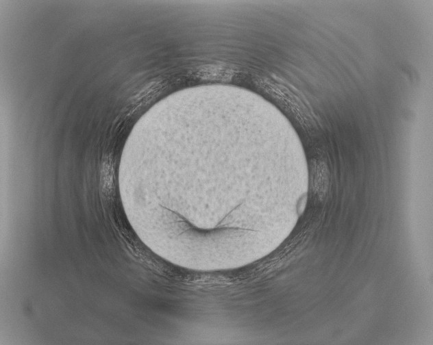 X0000115381154200912151433