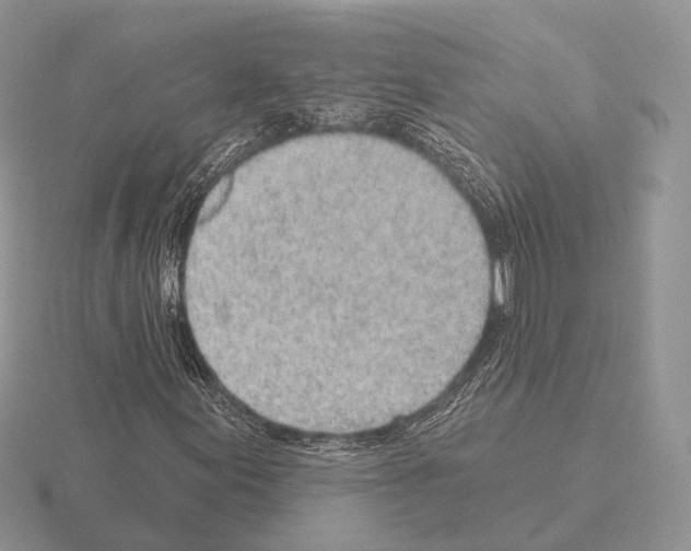 X0000115381155200912151433