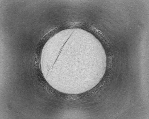 X0000115381158200912151433