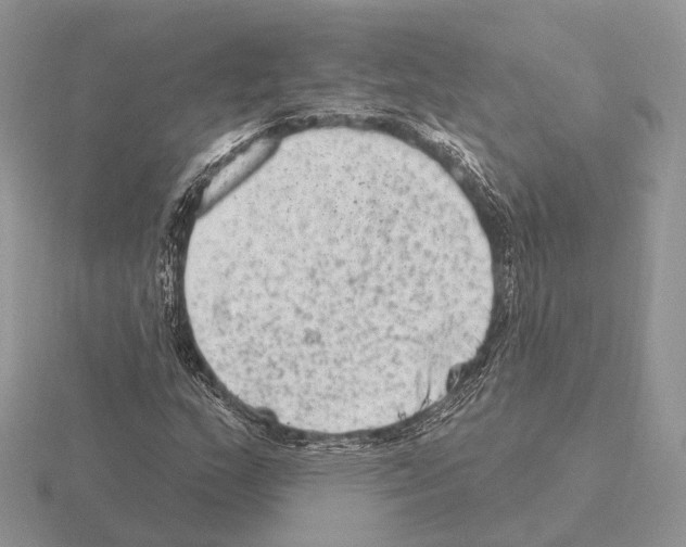 X0000115381159200912151433