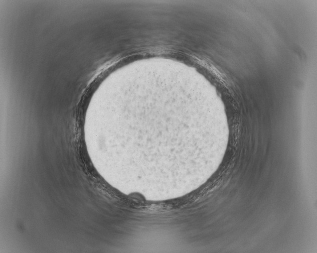 X0000115381160200912151433