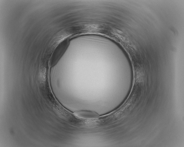 X0000115381161200912151433